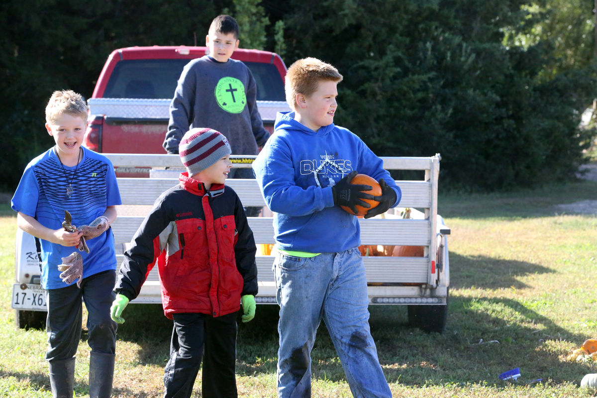 St Joseph Pumpkin Patch (28).jpg
